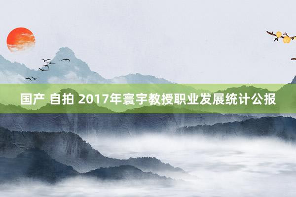 国产 自拍 2017年寰宇教授职业发展统计公报