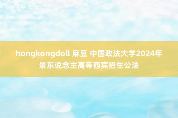 hongkongdoll 麻豆 中国政法大学2024年景东说念主高等西宾招生公法