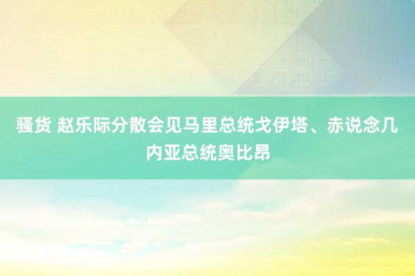 骚货 赵乐际分散会见马里总统戈伊塔、赤说念几内亚总统奥比昂