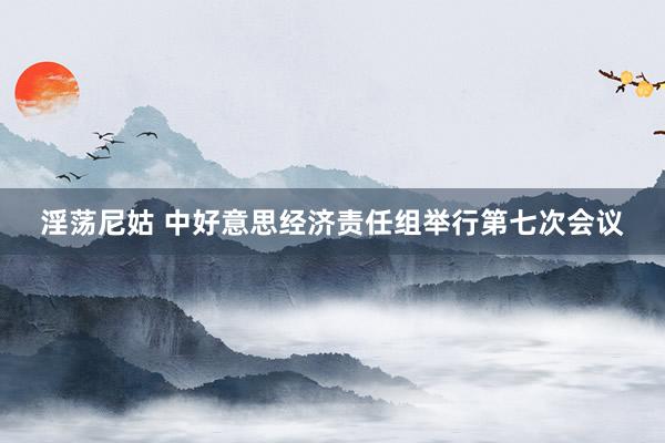 淫荡尼姑 中好意思经济责任组举行第七次会议