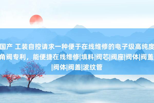 国产 工装自控请求一种便于在线维修的电子级高纯度气体用角阀专利，能便捷在线维修|填料|阀芯|阀座|阀体|阀盖|波纹管