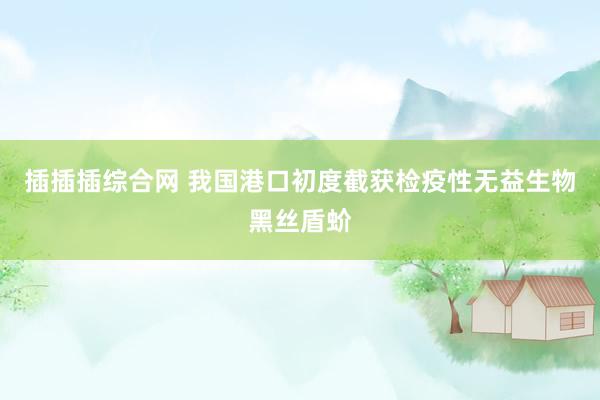 插插插综合网 我国港口初度截获检疫性无益生物黑丝盾蚧