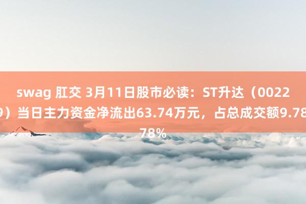 swag 肛交 3月11日股市必读：ST升达（002259）当日主力资金净流出63.74万元，占总成交额9.78%