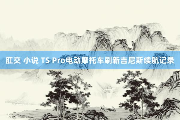 肛交 小说 TS Pro电动摩托车刷新吉尼斯续航记录