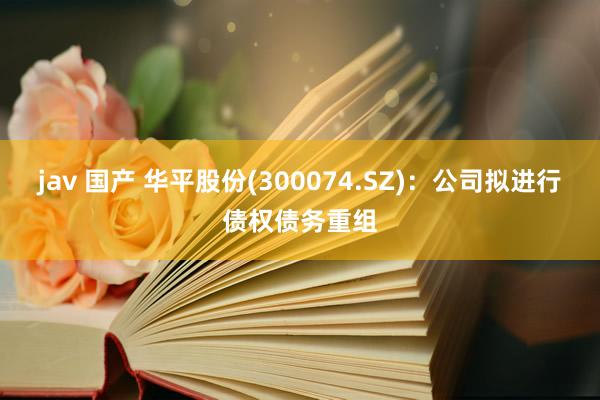 jav 国产 华平股份(300074.SZ)：公司拟进行债权债务重组