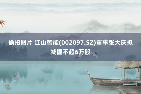 偷拍图片 江山智能(002097.SZ)董事张大庆拟减握不超6万股