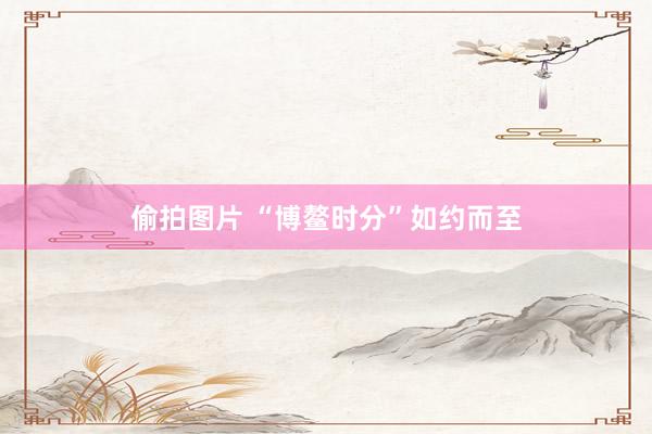 偷拍图片 “博鳌时分”如约而至